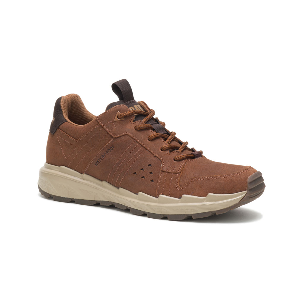 Coffee/Brown Men's Caterpillar Stratify Lo Wp Sneakers | 305814JXK